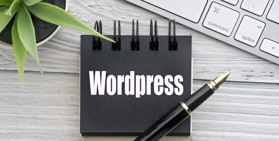 WordPress Services ilmoria digital