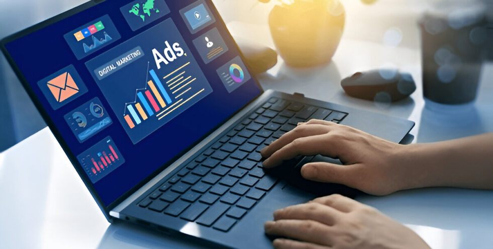 Digital Marketing & Paid Advertising ilmoria digital